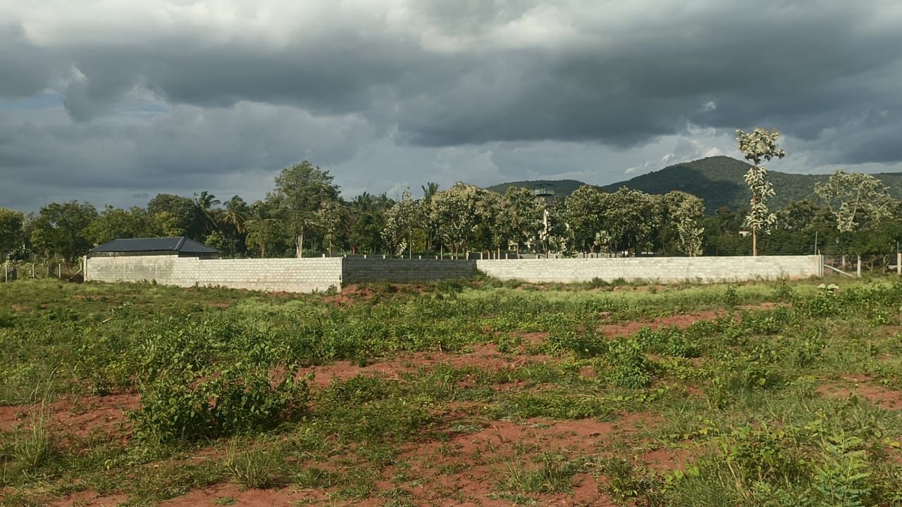  10.5 Acre General Property for Sale – Halaguru, Malavalli Taluk